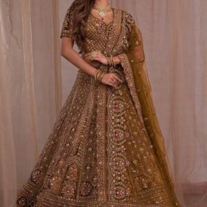Premium Velvet Lehenga with Intricate Zariwork Embroidery