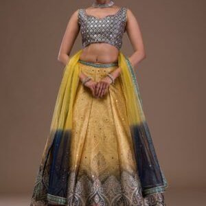 Mustard Mirrorwork Banarasi Readymade Lehenga
